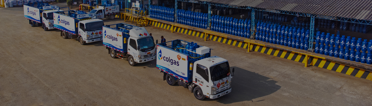 DJI_0033-CANALES-DE-VENTA-WEB-COLGAS-1